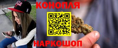 стафф Будённовск
