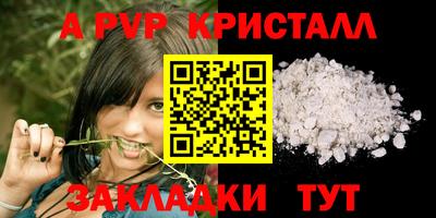 стафф Будённовск