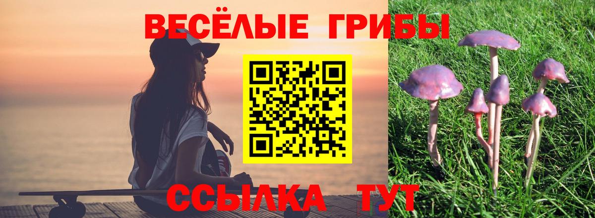 Псилоцибиновые грибы MAGIC MUSHROOMS  Вход с VPN  Петропавловск-Камчатский 